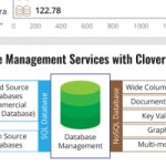Infographics : Database Management Services