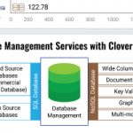 [Infographic] End to End Database Management Services
