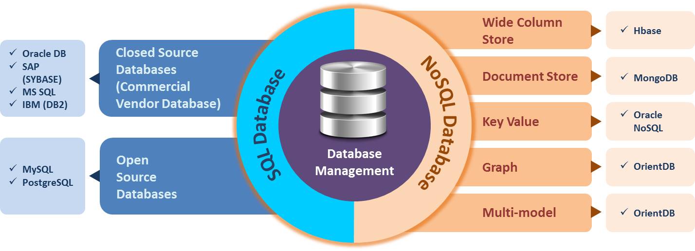 Database Management Services | DBM Support, Consulting and Managed ...