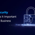 XDR Security & Why Is It Important for Your Business?