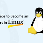 10 Steps to Become an Expert in Linux